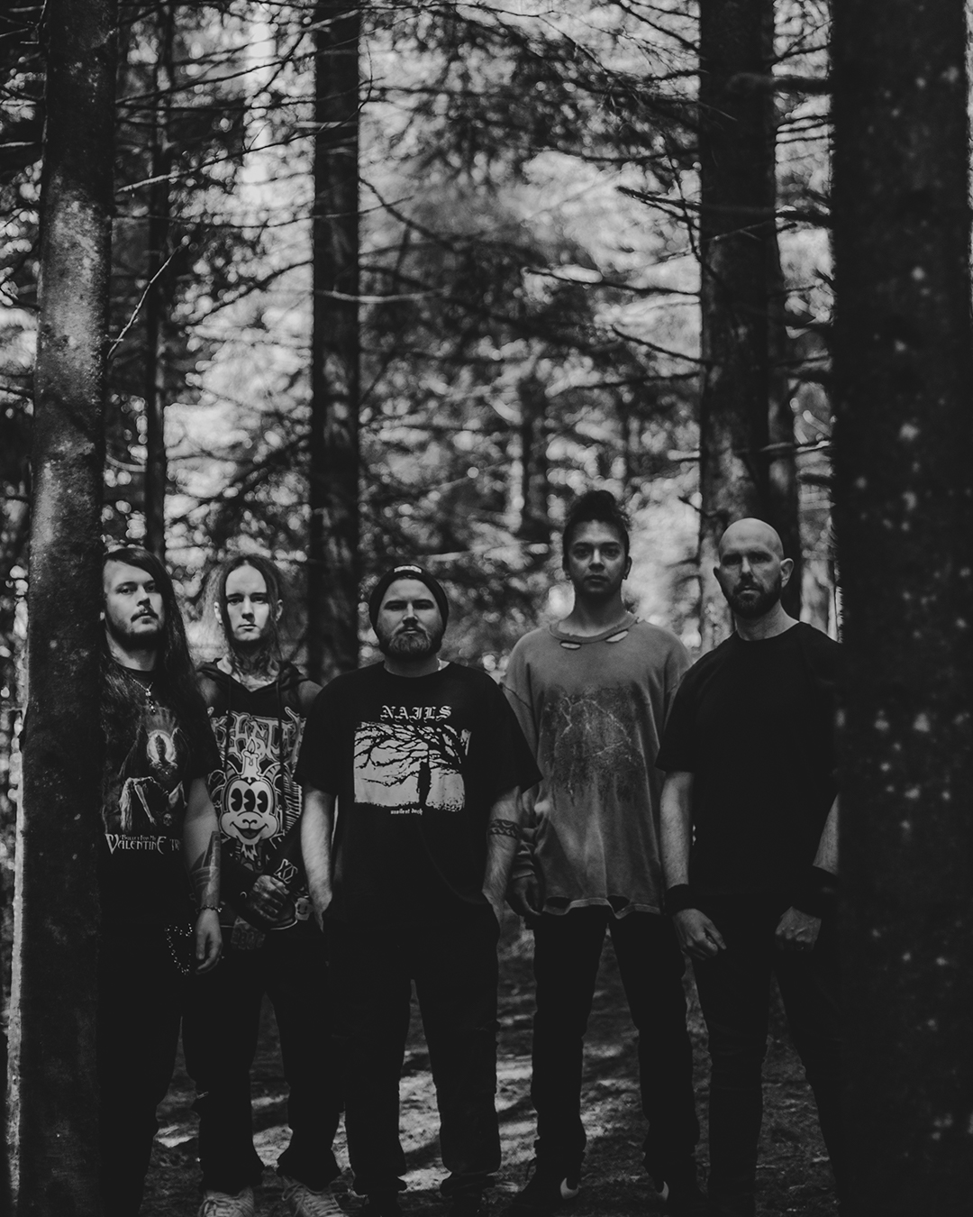Entropic Rot band promo photo